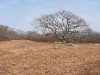111-1190_img_2