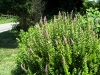 img_0051_2